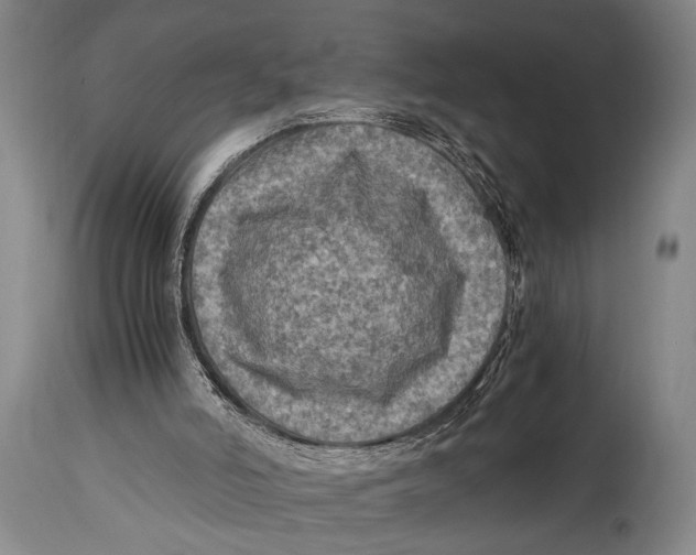 X0000114560006200911161234