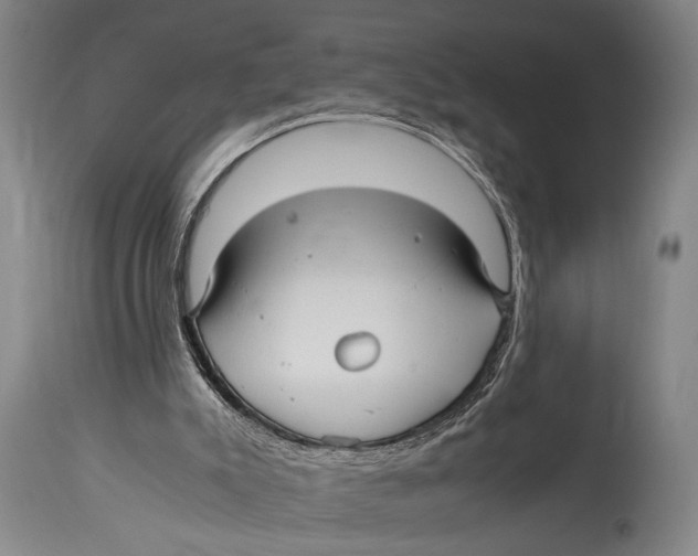 X0000114560007200911161234