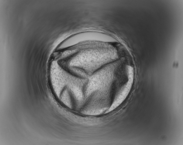 X0000114560008200911161234