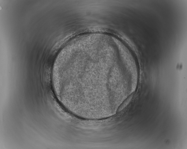 X0000114560009200911161234