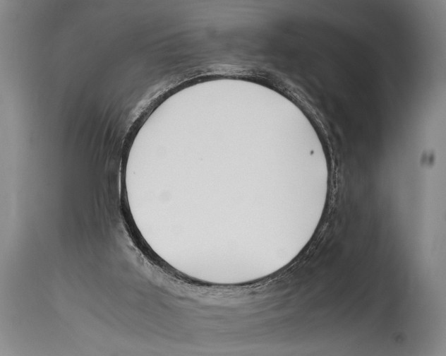 X0000114560011200911161234