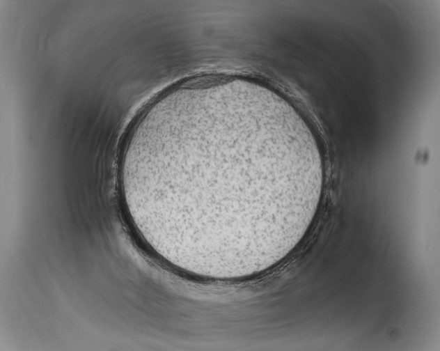 X0000114560012200911161234