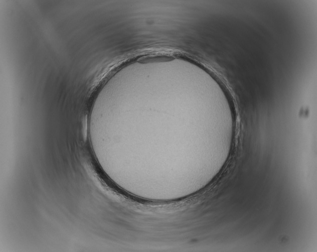 X0000114560013200911161234