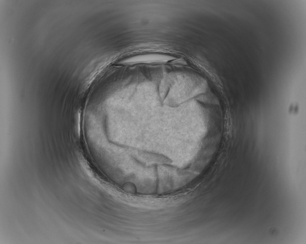 X0000114560014200911161234