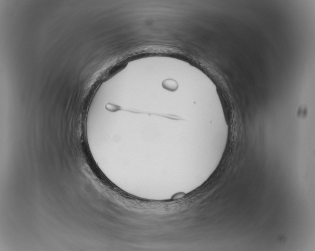 X0000114560015200911161234