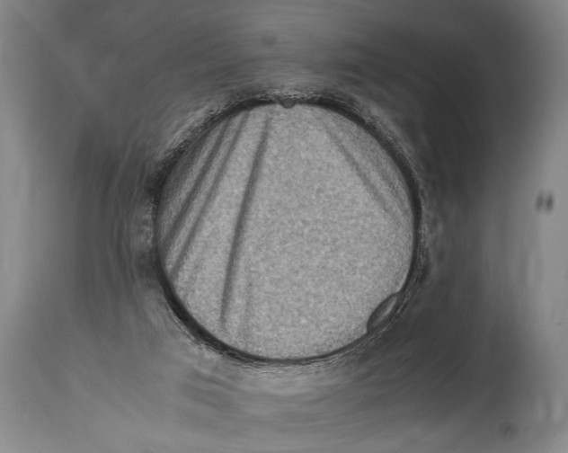 X0000114560017200911161234