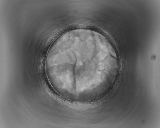 X0000114560018200911161234