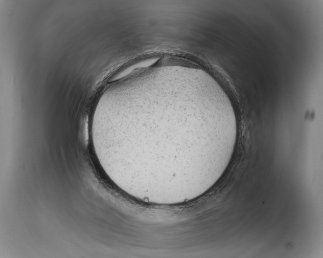 X0000114560020200911161234