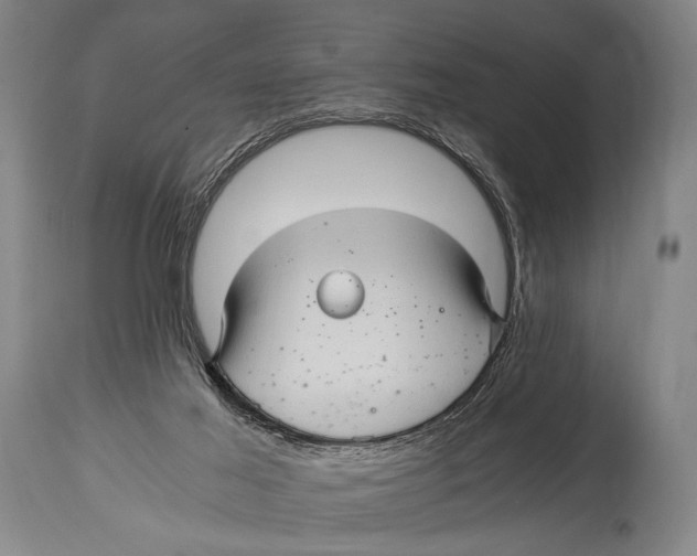 X0000114560021200911161234