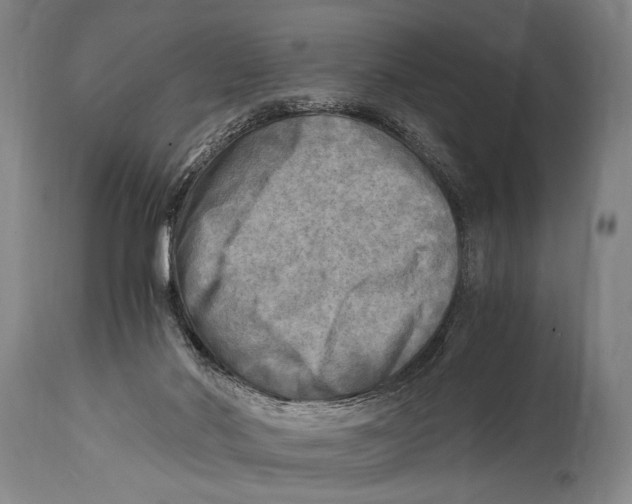 X0000114560022200911161234