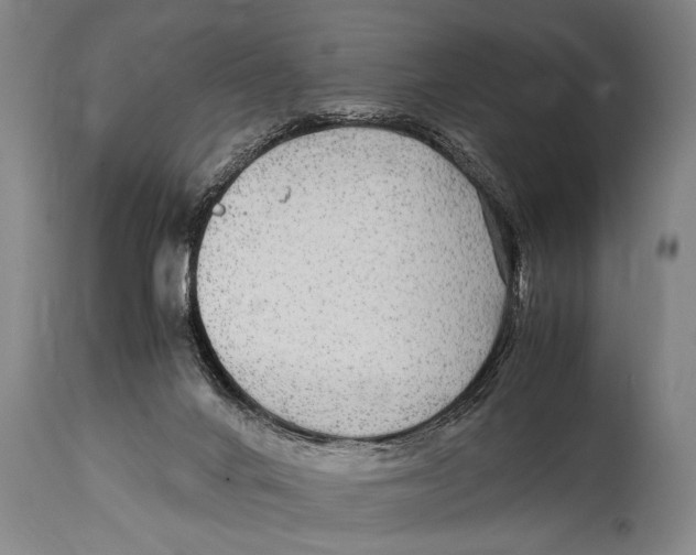 X0000114560024200911161234