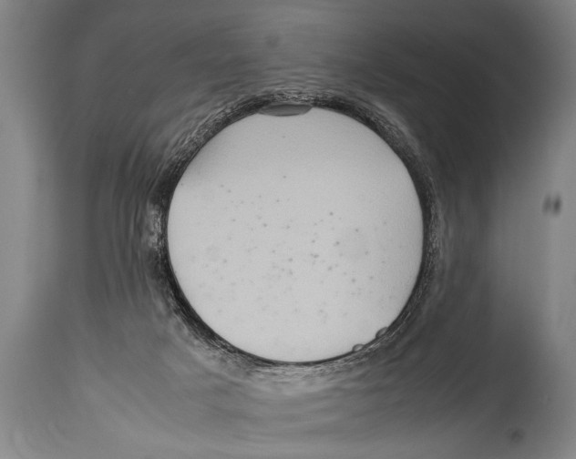 X0000114560025200911161234