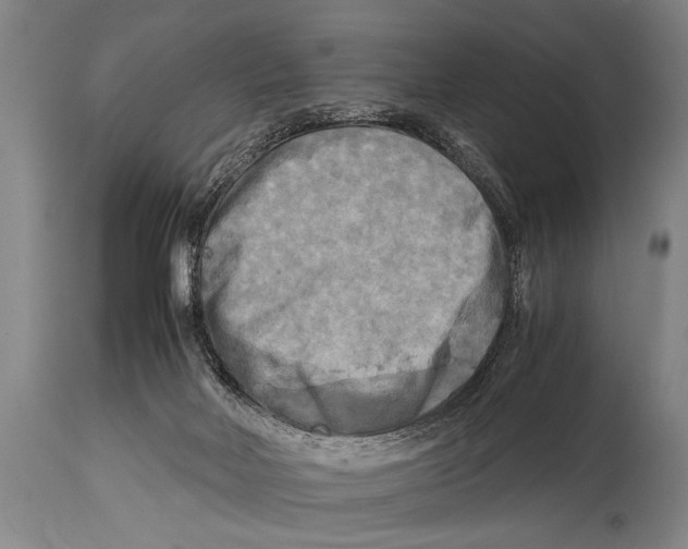 X0000114560026200911161234