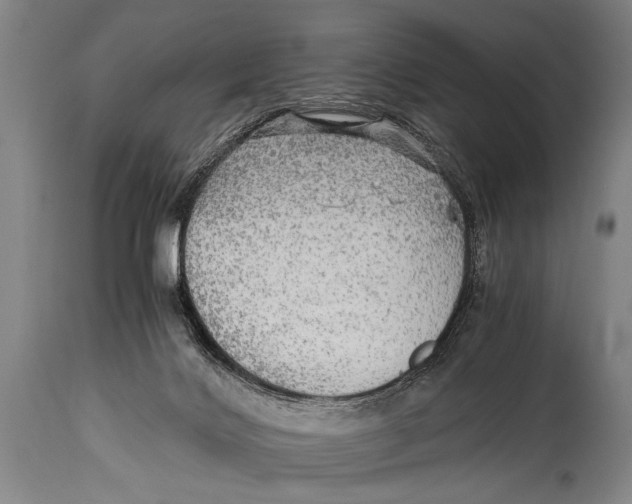 X0000114560028200911161234