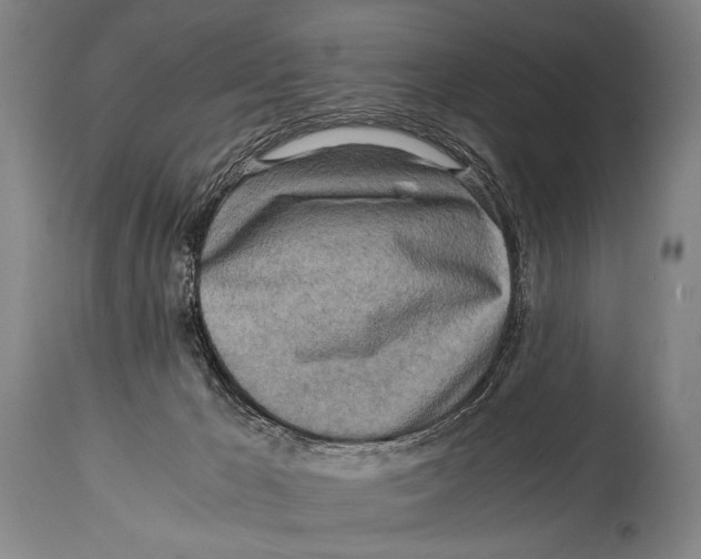 X0000114560029200911161234