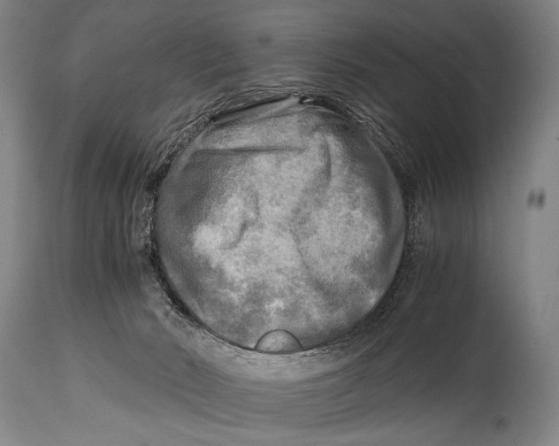 X0000114560030200911161234