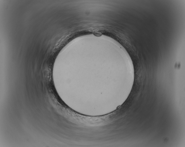 X0000114560031200911161234