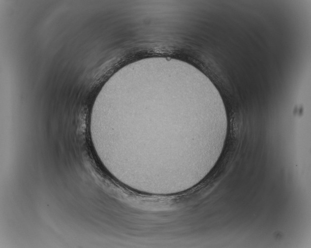 X0000114560032200911161234