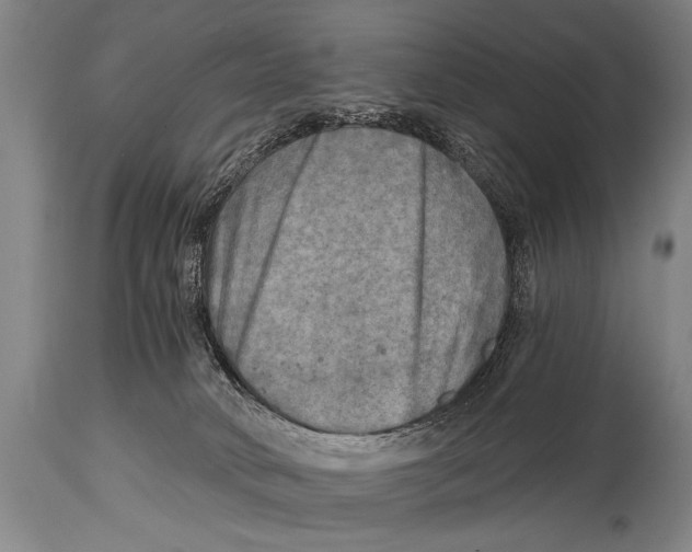 X0000114560034200911161234