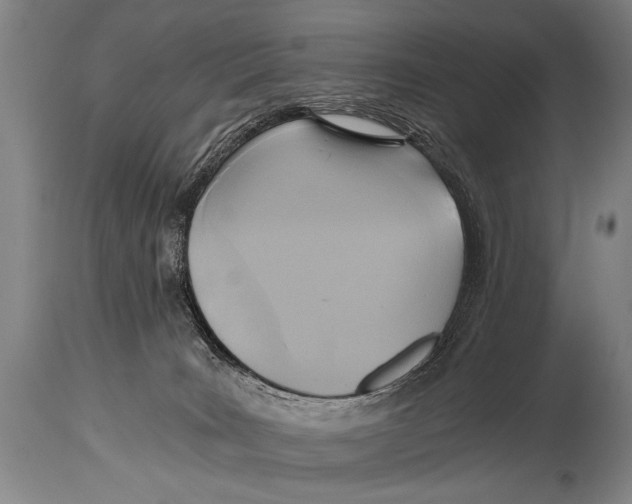 X0000114560035200911161234
