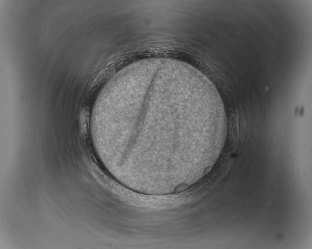 X0000114560038200911161234
