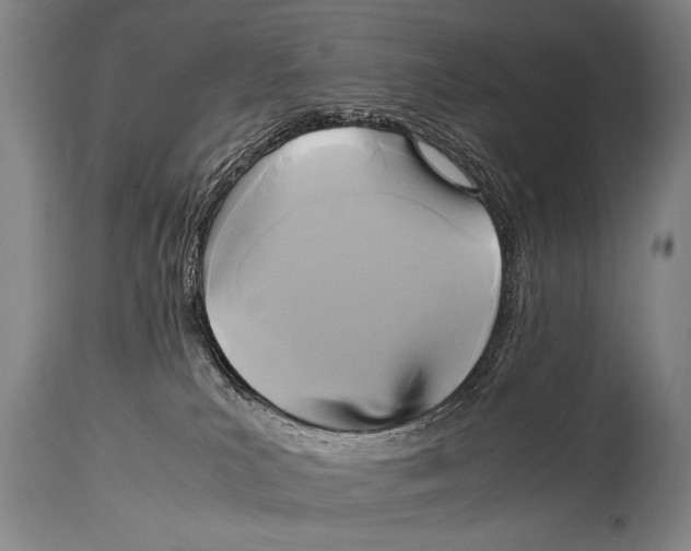 X0000114560039200911161234