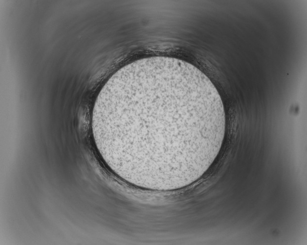 X0000114560040200911161234