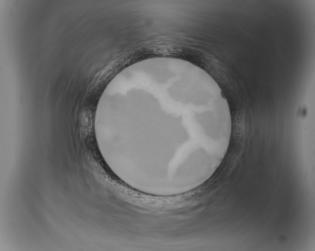 X0000114560043200911161233