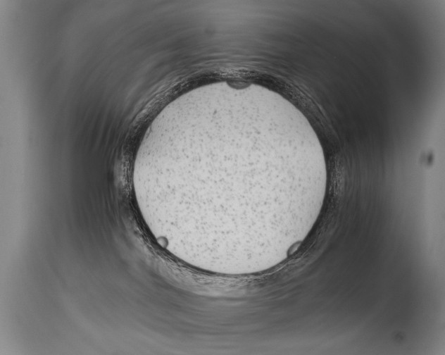 X0000114560044200911161233