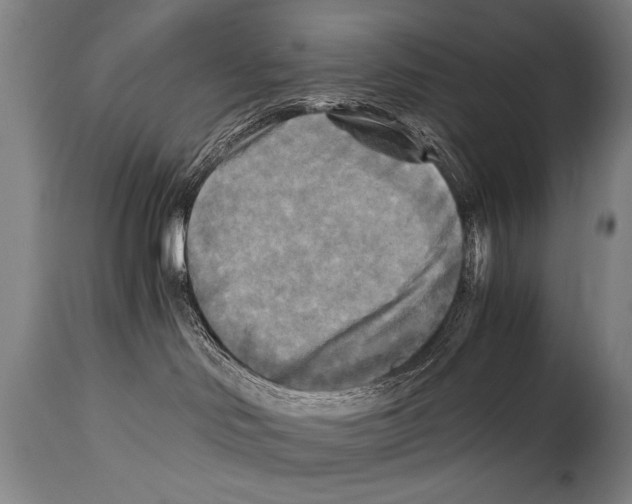 X0000114560046200911161233