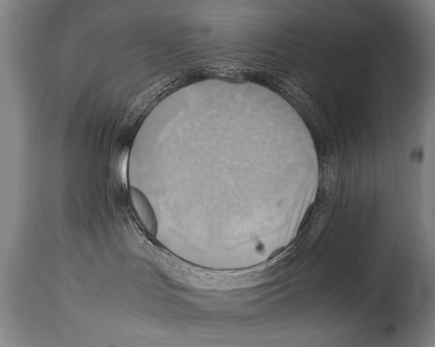 X0000114560047200911161233