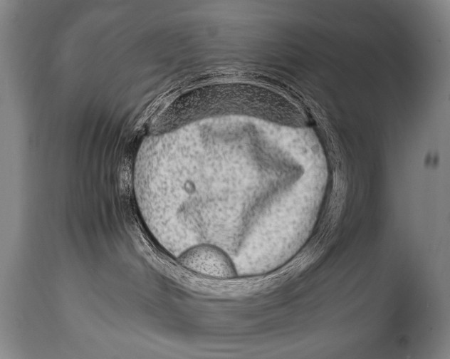 X0000114560048200911161233