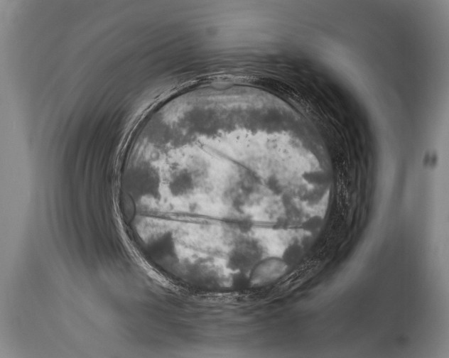 X0000114560049200911161233