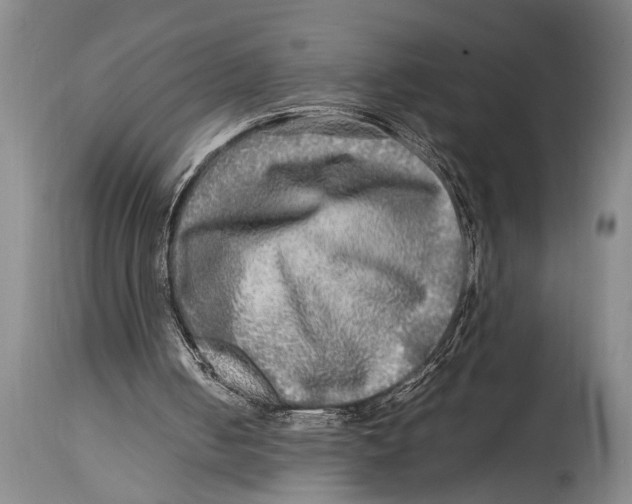 X0000114560050200911161233