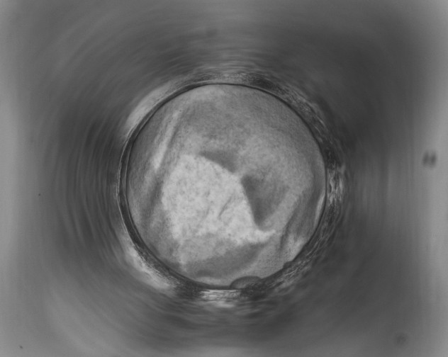 X0000114560051200911161233