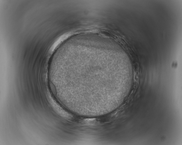 X0000114560054200911161233