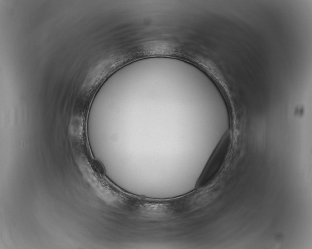 X0000114560057200911161233