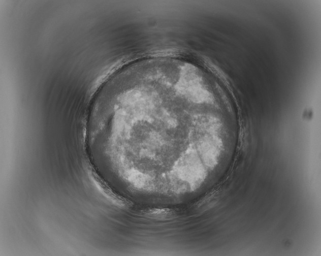 X0000114560059200911161233