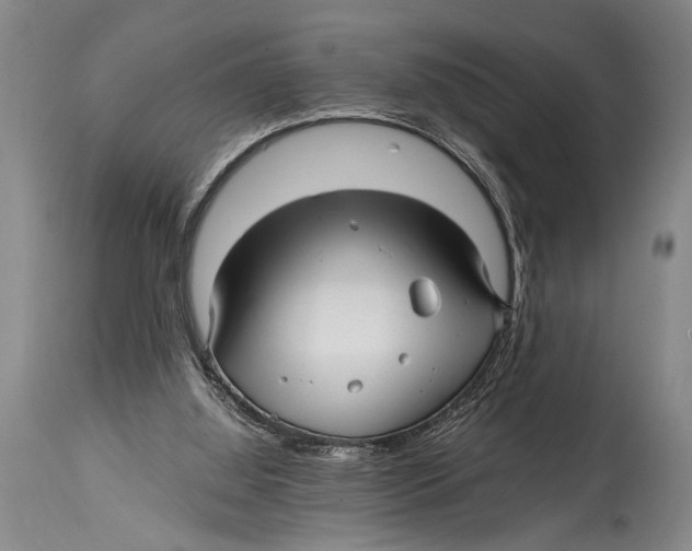 X0000114560060200911161233
