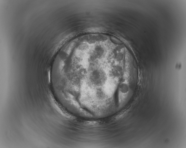 X0000114560061200911161233