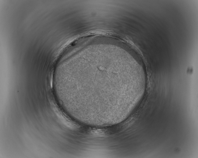 X0000114560062200911161233