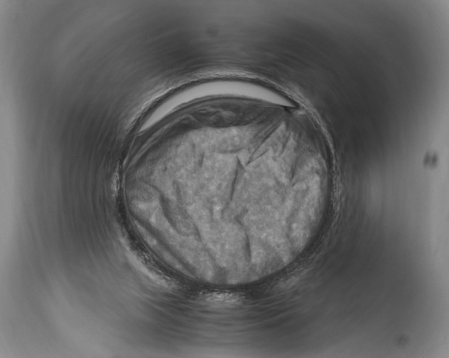 X0000114560063200911161233