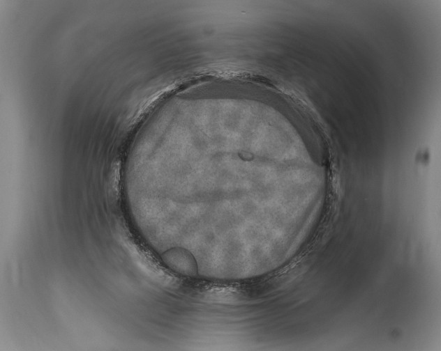 X0000114560066200911161233