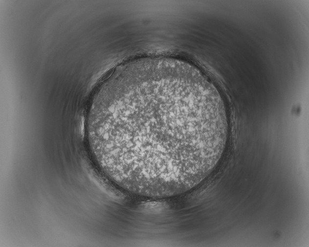 X0000114560067200911161233