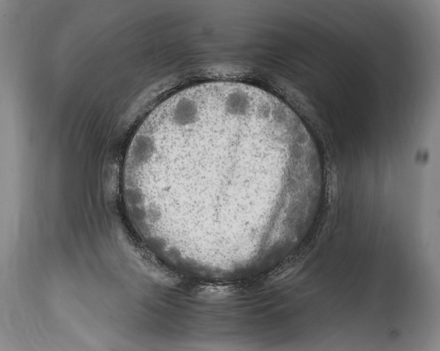 X0000114560071200911161233