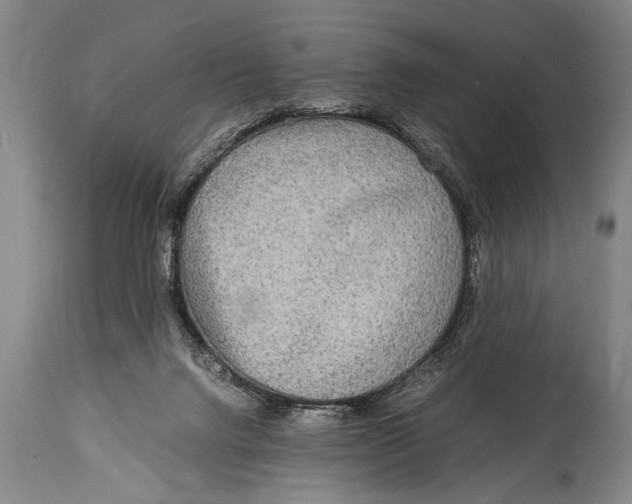X0000114560072200911161233