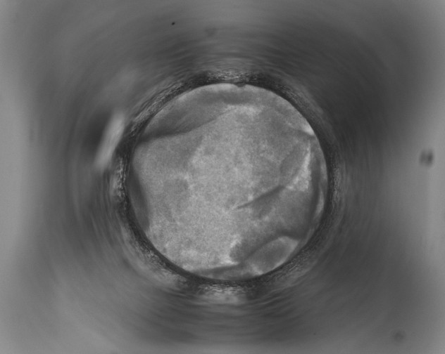 X0000114560073200911161233