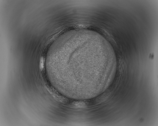X0000114560075200911161233