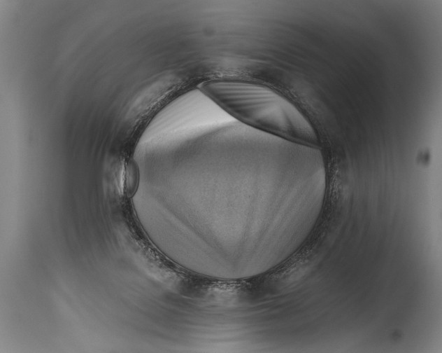 X0000114560076200911161233