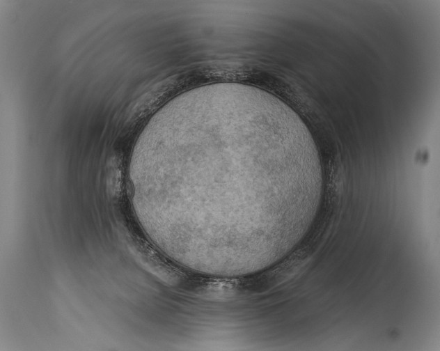 X0000114560080200911161233
